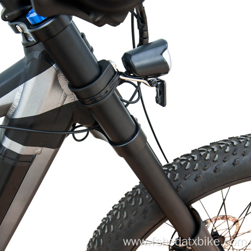 Electric Fat Tire Bike for Adults